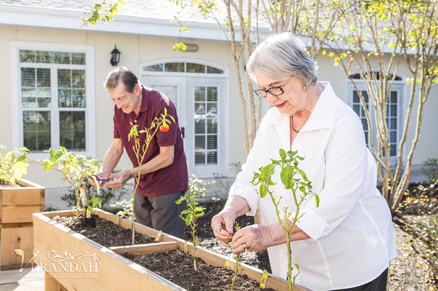 Images The Verandah Retirement Community