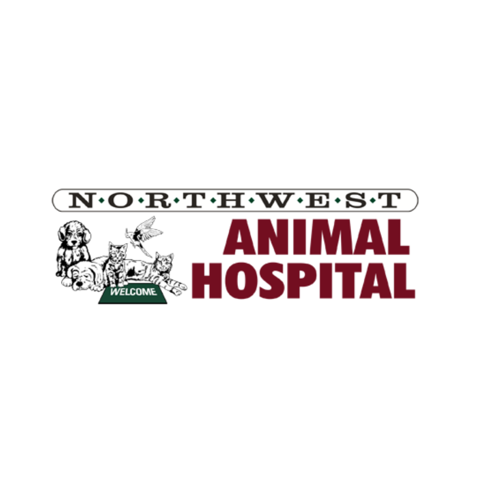 Northwest Animal Hospital Photo