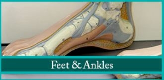 Images The Foot & Ankle Center of Philadelphia