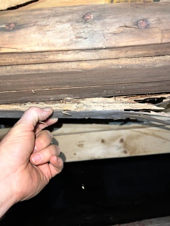 Images Crawlspace Titans