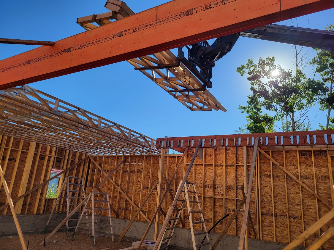 Images The Blue Spruce Builder