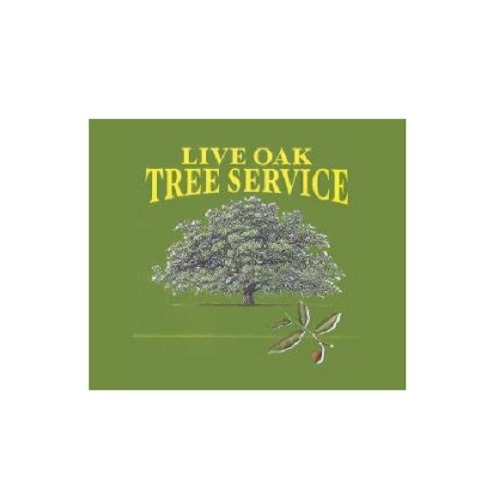 Live Oak Tree Service Logo