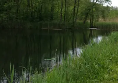 Angelsee Bendestorfer Wassermühle Inhaber: Dirk Schmanns, Bendestorfer Chaussee 17 in Bendestorf