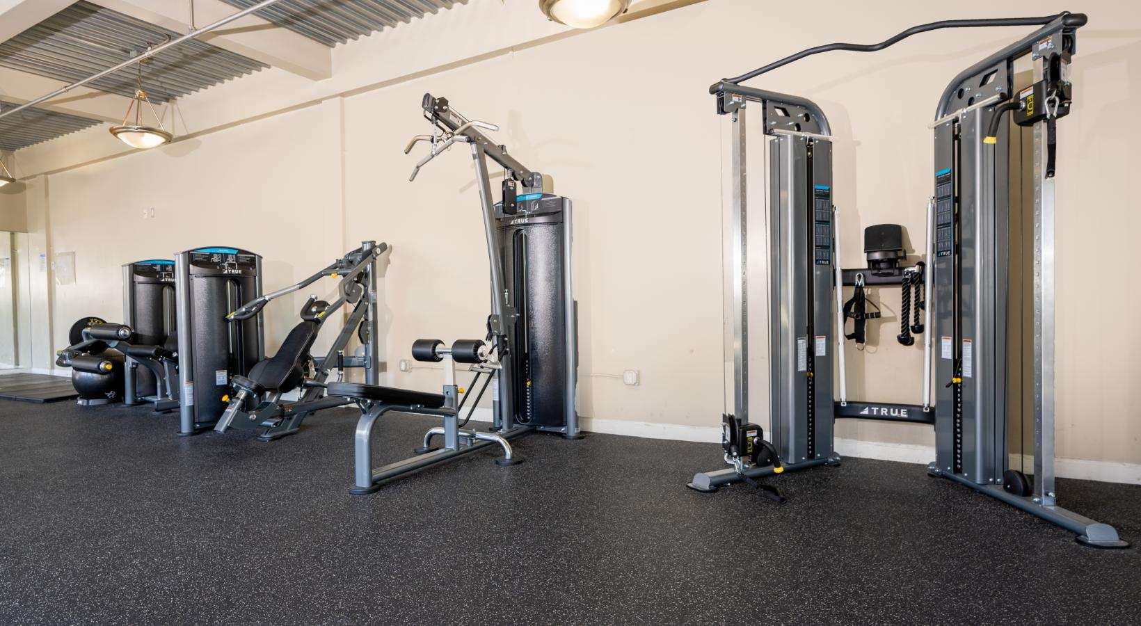 Well-Equipped Fitness Center 
