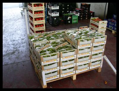 Images Ricci Franco e Figli