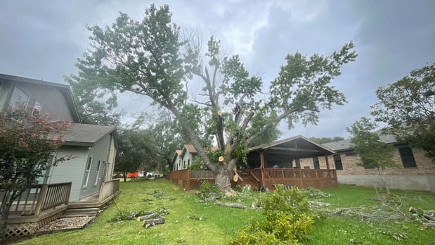Images CBM Tree Services LLC