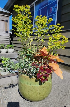 Images Northwest Landscape Supply