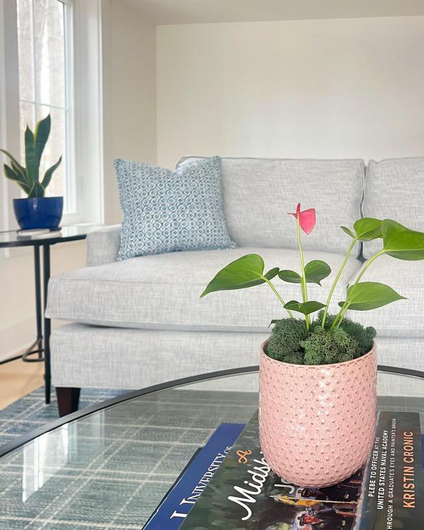 Images Seriously Sari Interiors