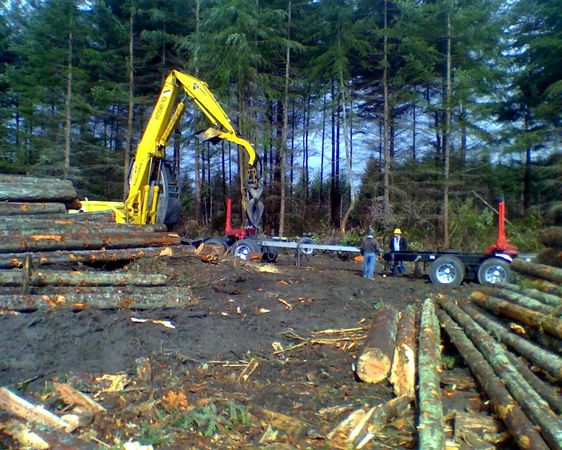 Images American Forest Lands Washington Logging Company LLC
