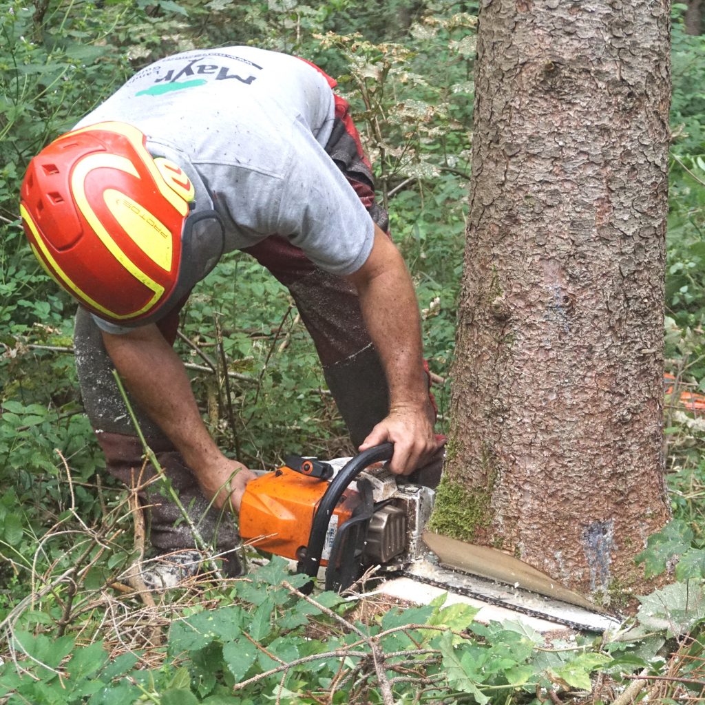 Mayr Landschafts- & Golfplatzpflege, Unterfeldweg 4 in Kochel