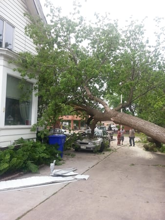 Images Ron'z Tree Service LLC
