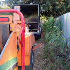 Images Alexa's Tree Service