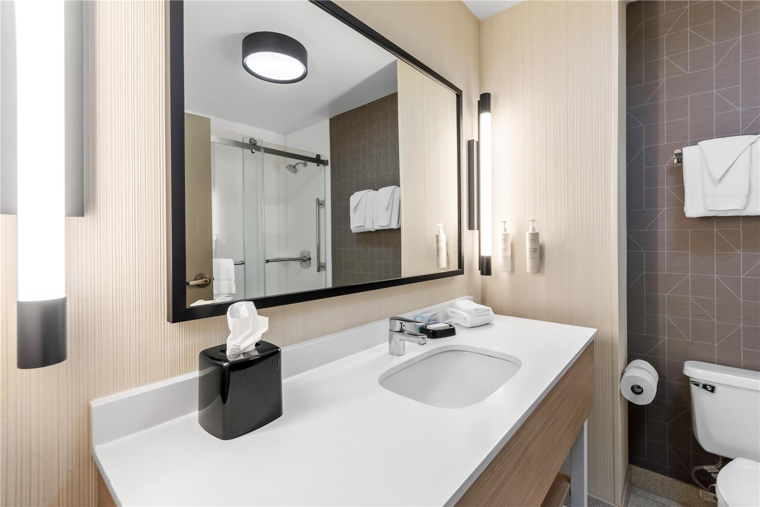 Guest room bath 