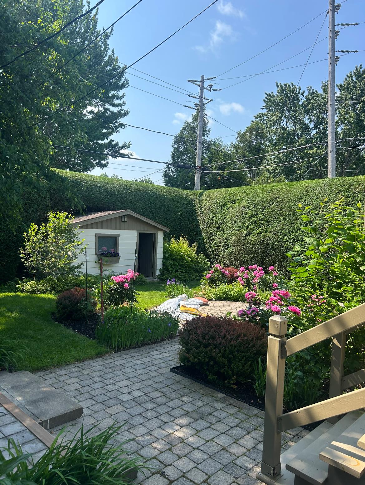 Images Taille de haie EB - Entretien de haie Saint-Hyacinthe