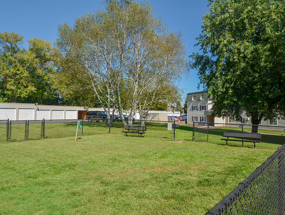 Fenced-In Dog Park