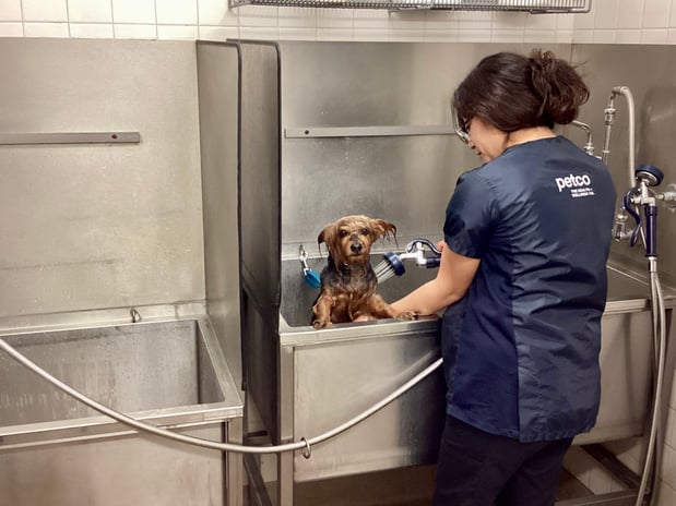 Images Petco Grooming