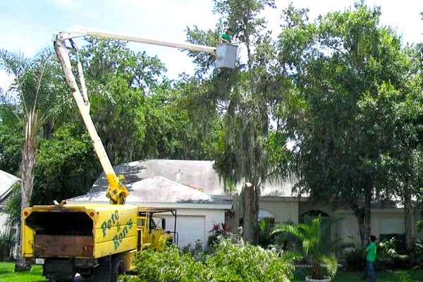 Images Pete and Rons Tree Service