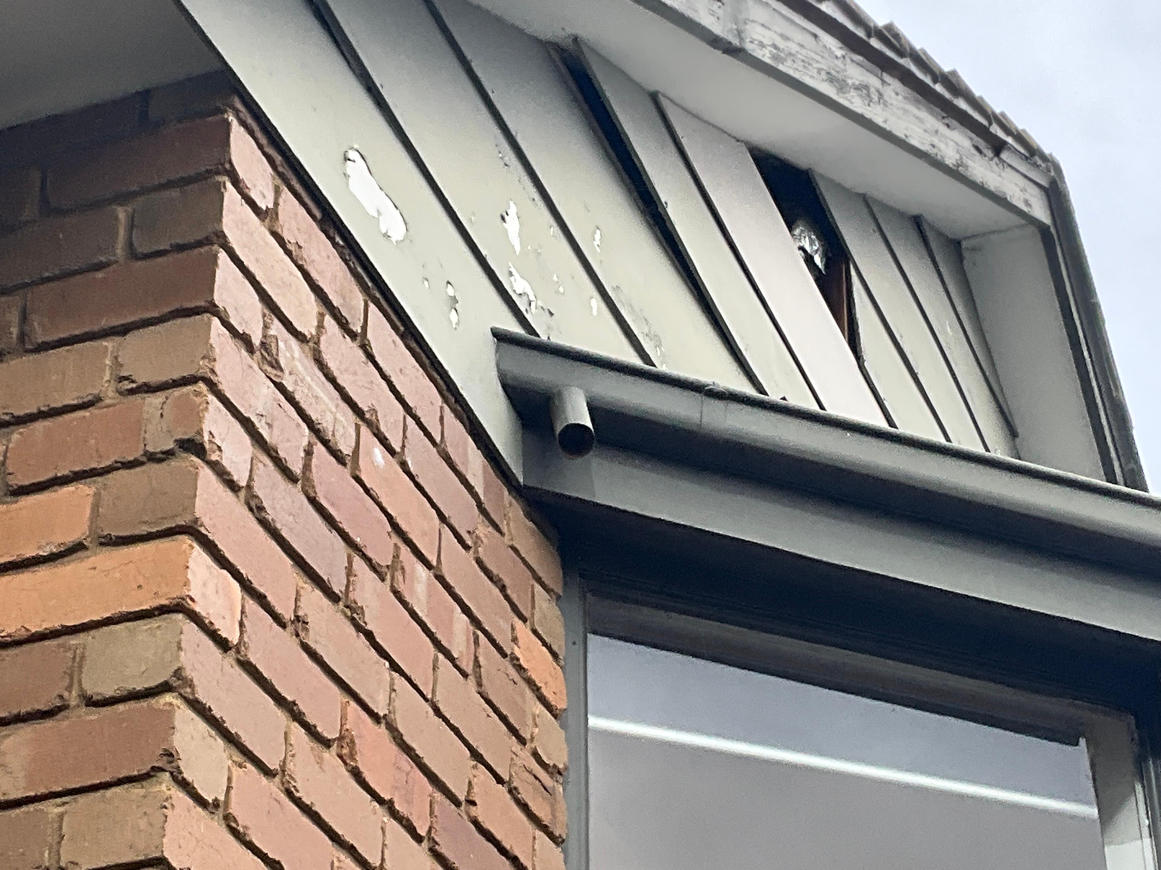 Images ACE Building and Pest Inspection