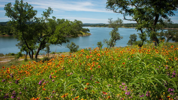 Images Lakeside at Tessera
