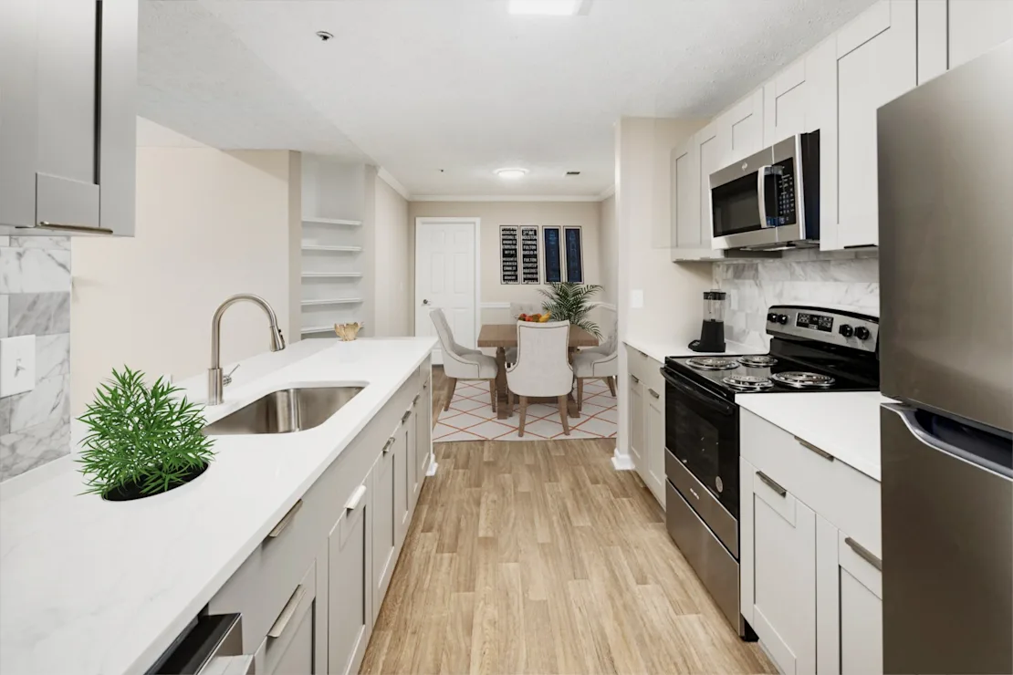 Modern Kitchen