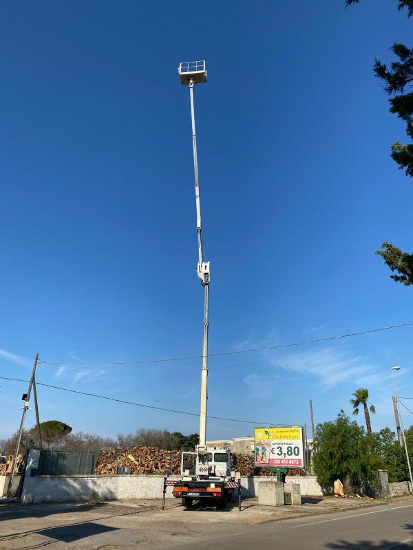 Images Casa della Legna Manutenzione del Verde