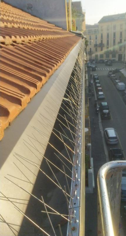 Images P.L. Lattoneria Edile srl