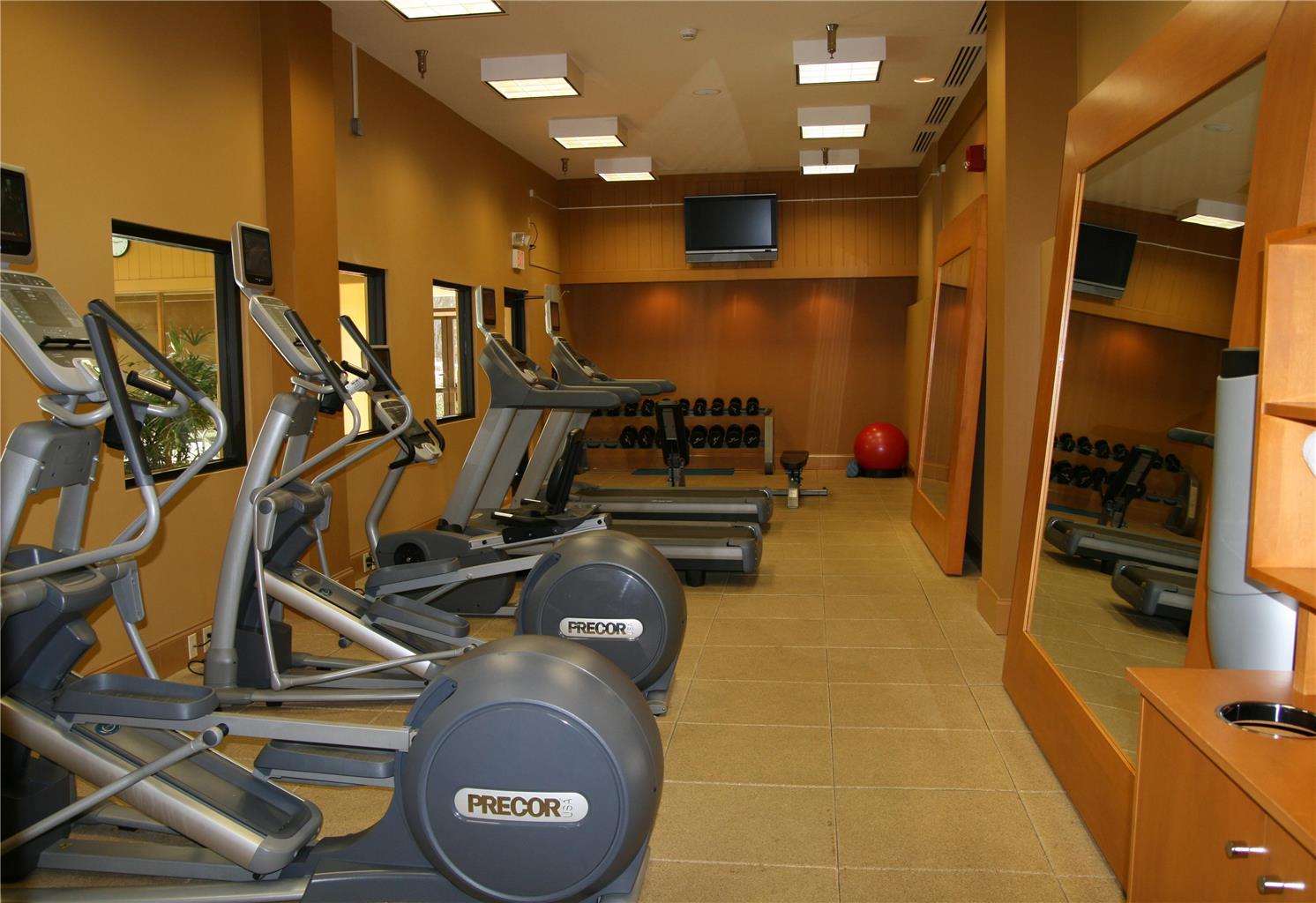 Health club fitness center gym