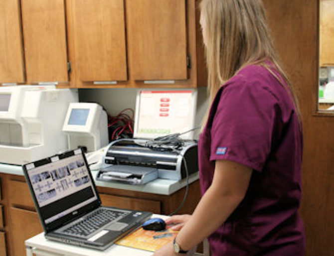 Images Chaparral Veterinary Center, P.C.