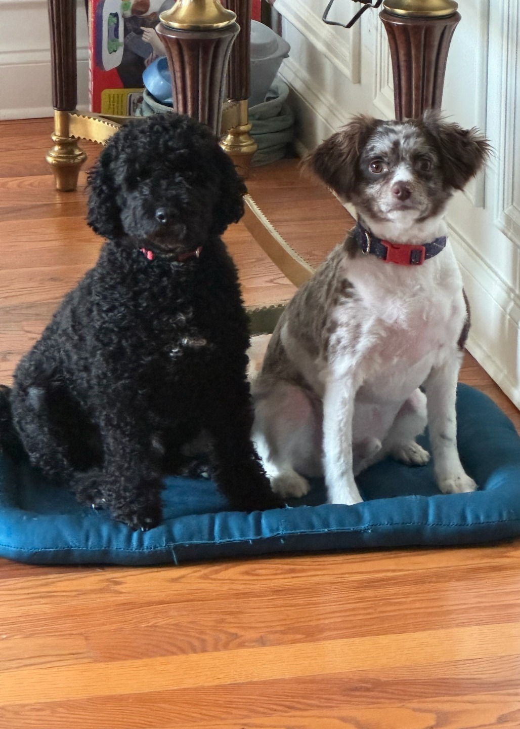 Mia McWorter - State Farm Insurance Agent Image