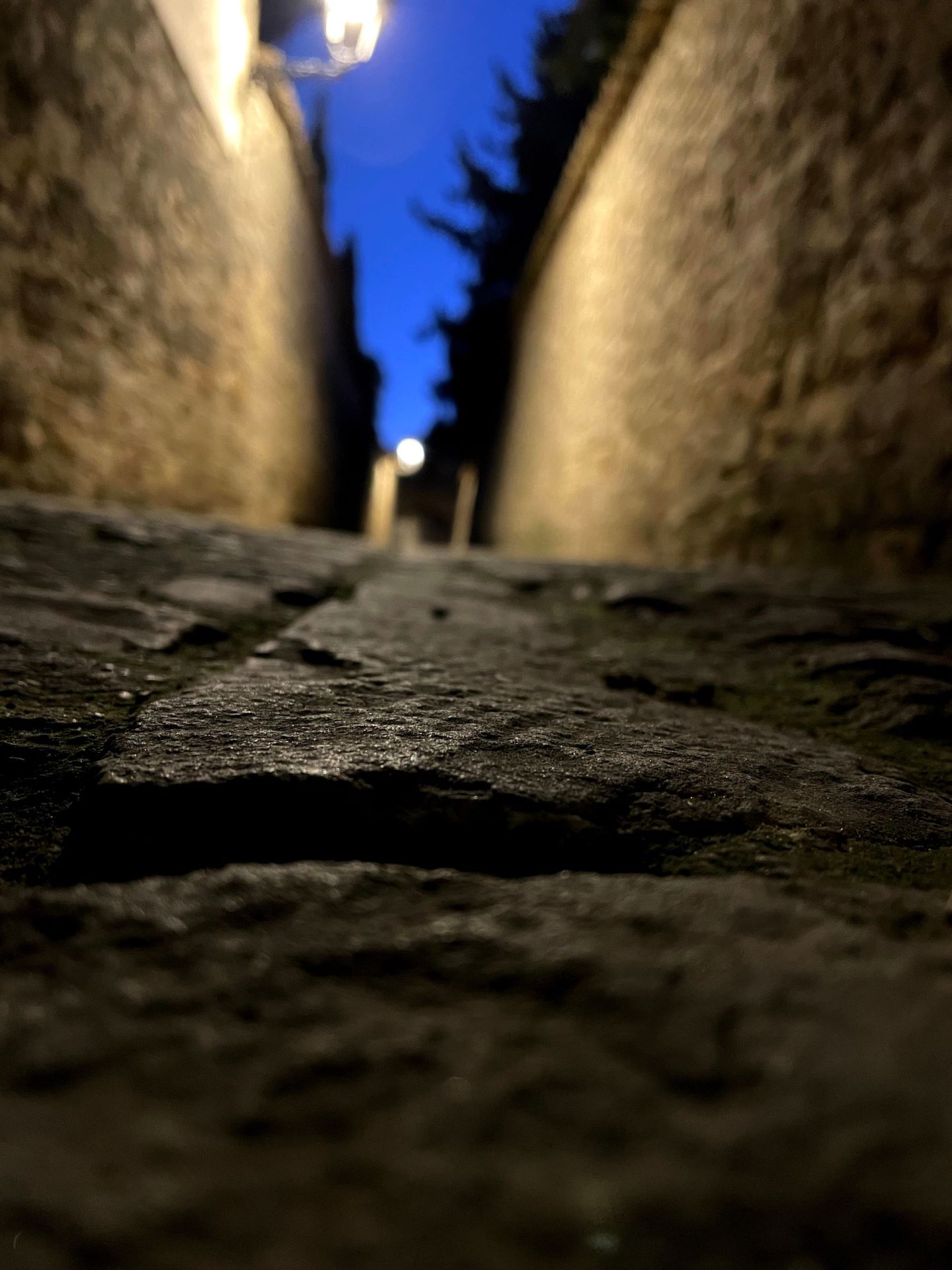 Images Himilce Visitas Guiadas