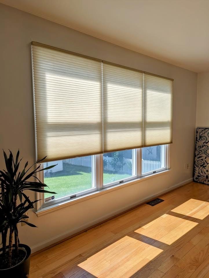 Cellular Shades in Simi Valley and Moorpark