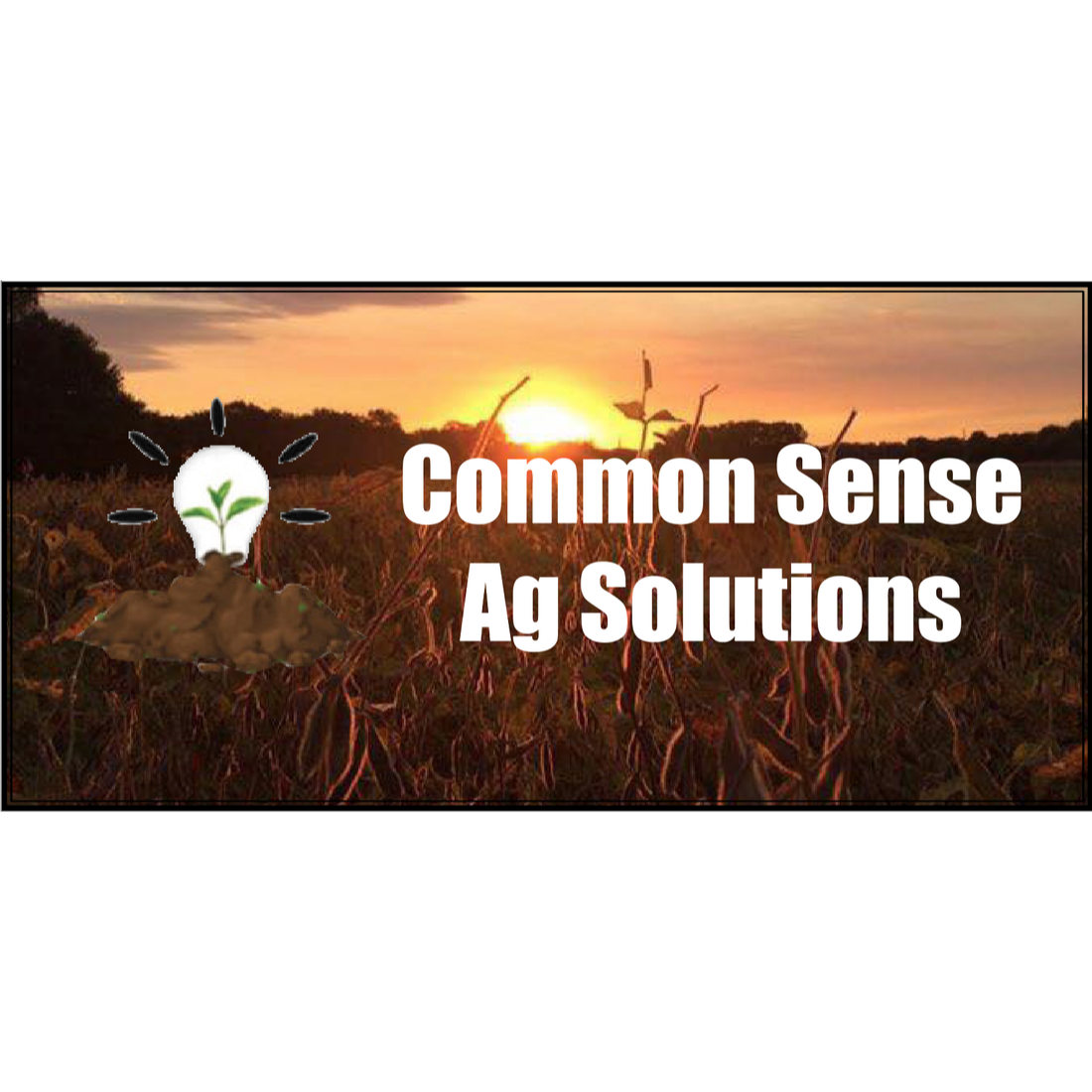 Common Sense Ag Solutions Brunswick (402)929-3665