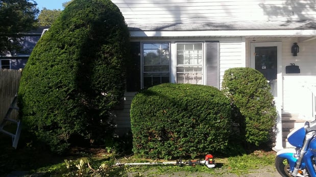 Images K & K Landscape and Cleaning Services