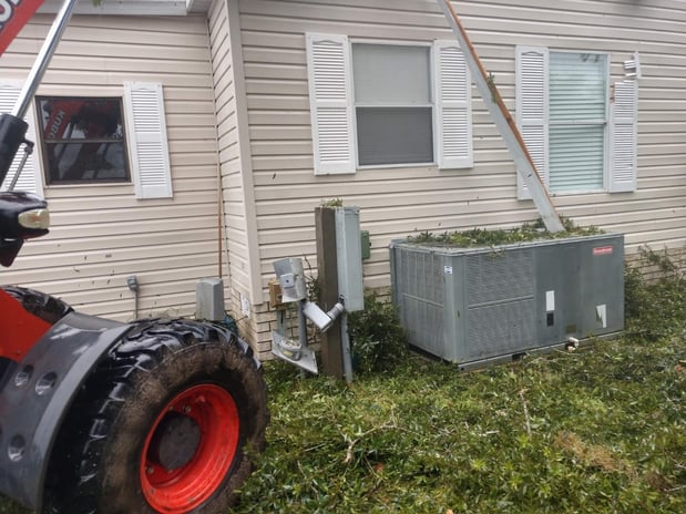 Images Branch Out Tree Service LLC