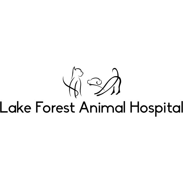 Lake Forest Animal Hospital - Gaithersburg, MD 20879 - (301)740-1083 | ShowMeLocal.com
