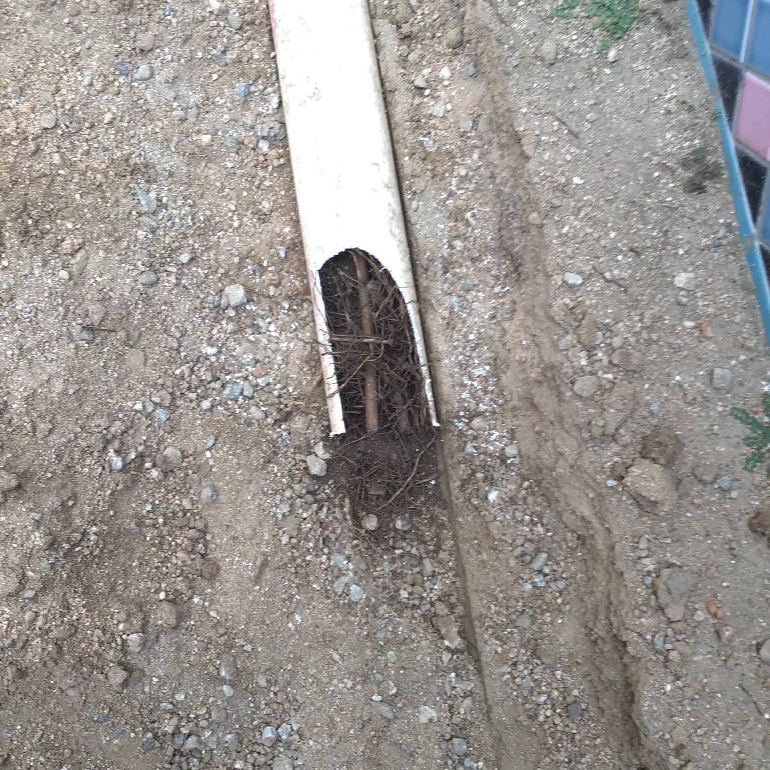 Damaged pipes? Call Team Rooter.