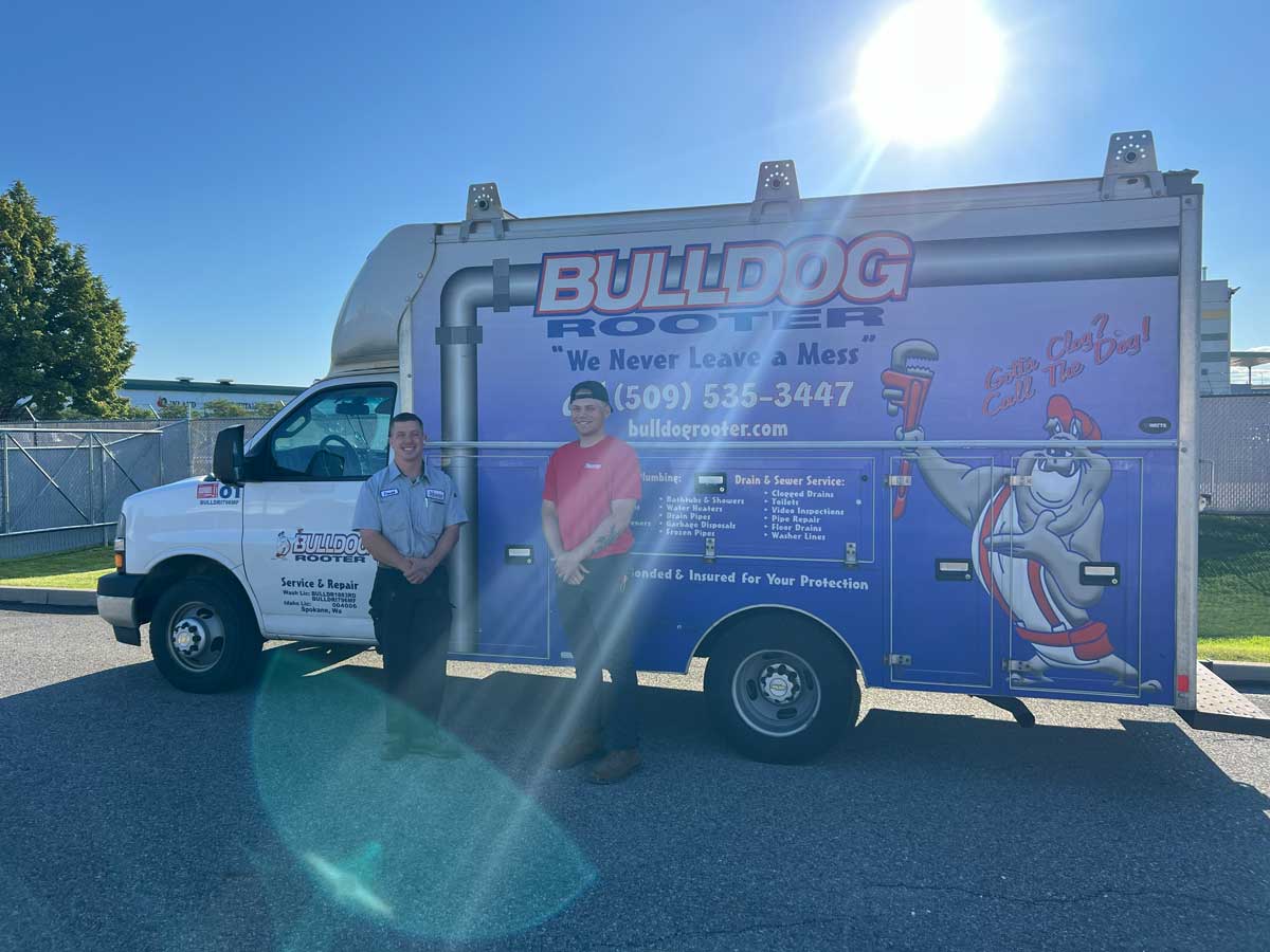 Bulldog Rooter Image