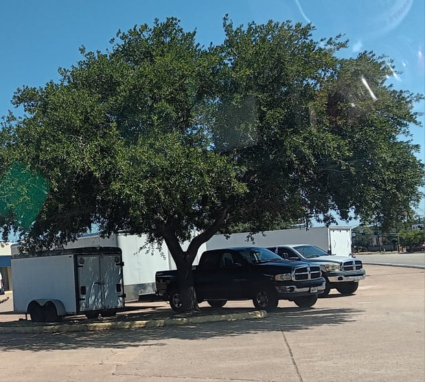 Images Aggieland Moving
