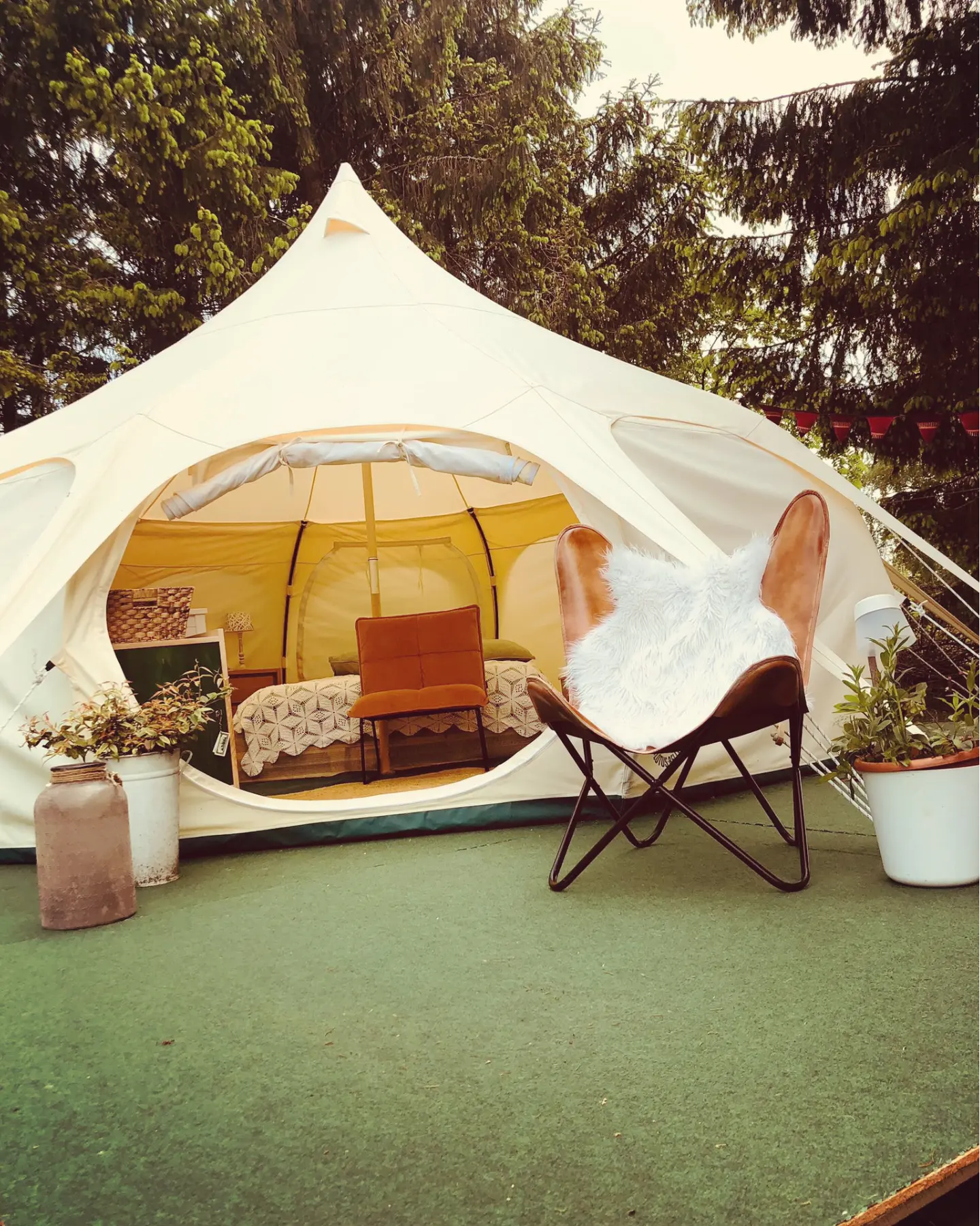 Foto's Camping Kleintje Zandpol (minicamping)