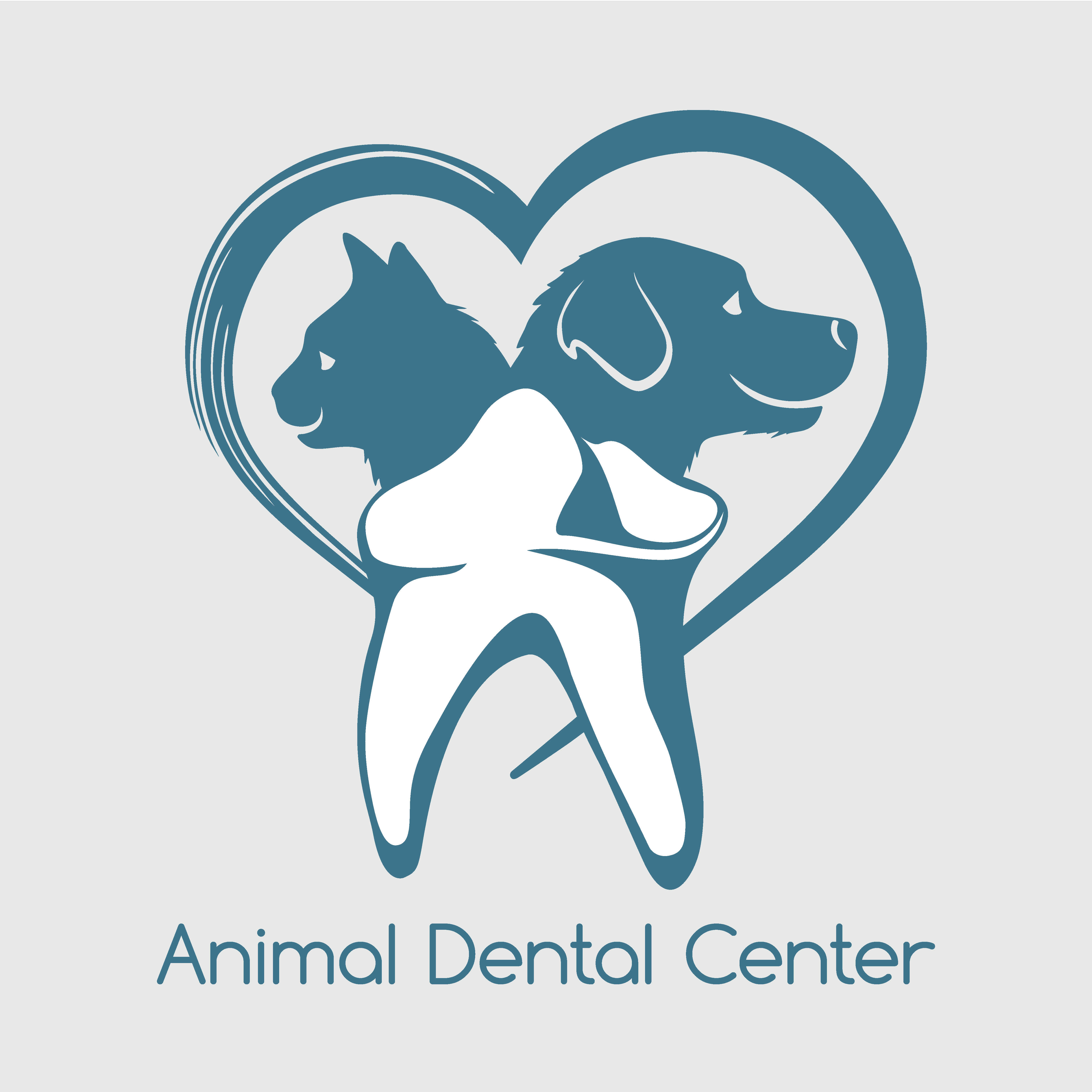 Animal Dental Center - Annapolis, MD 21401 - (410)828-1001 | ShowMeLocal.com