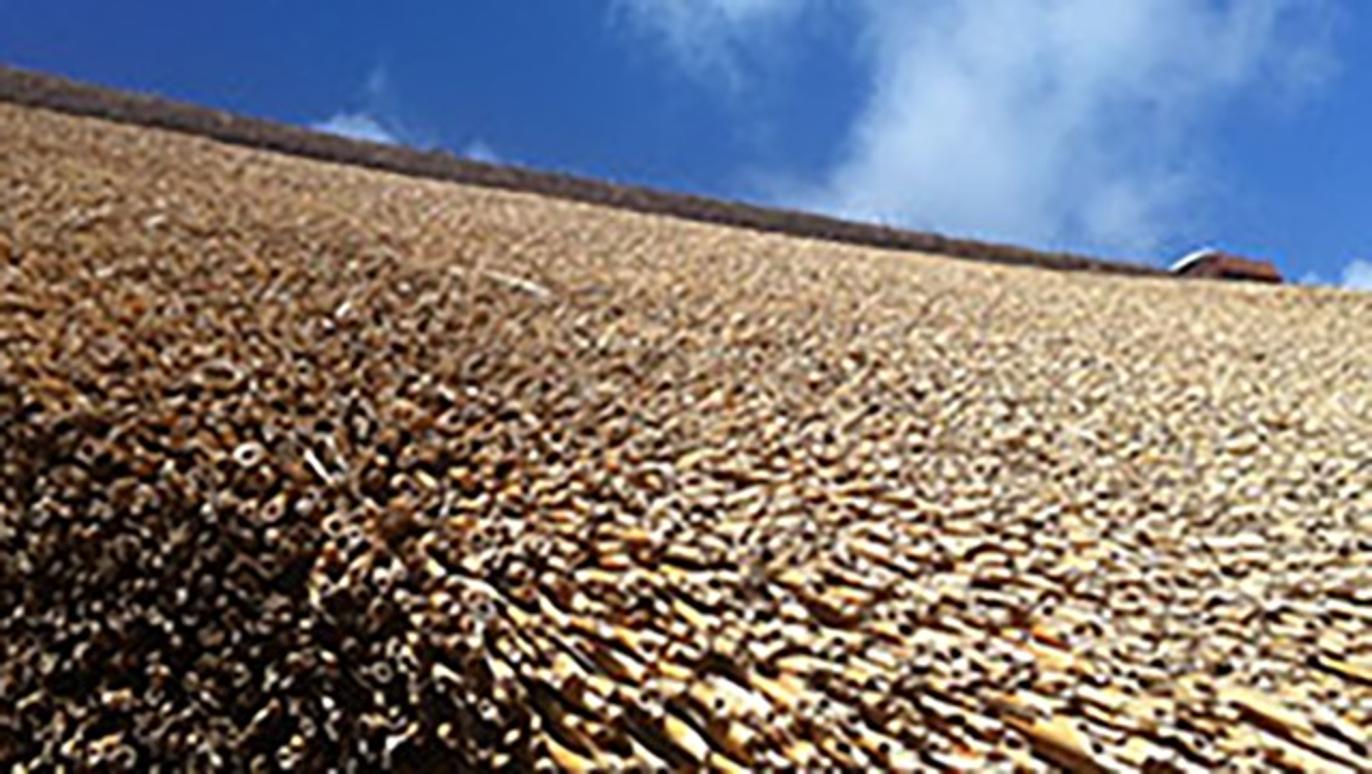 Images Tækkefirma Kajtæk ApS