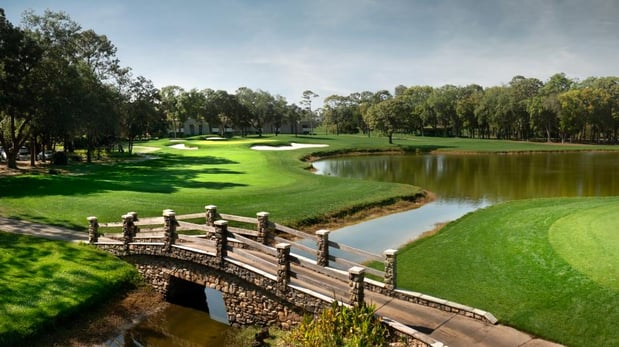 Images Montrose at Innisbrook