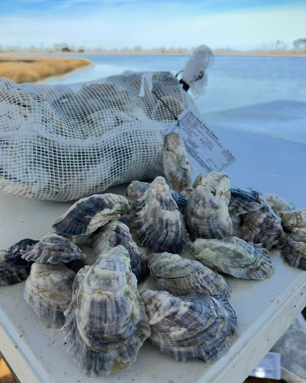 Images Murphy’s Irish Pub