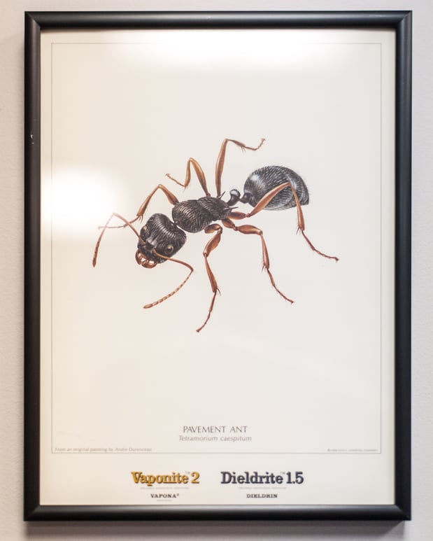 Images Massey Services Pest Control