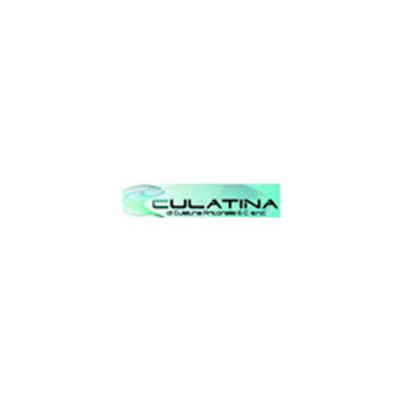 Ferramenta Culatina Logo