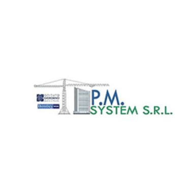 P.M. System Srl Logo