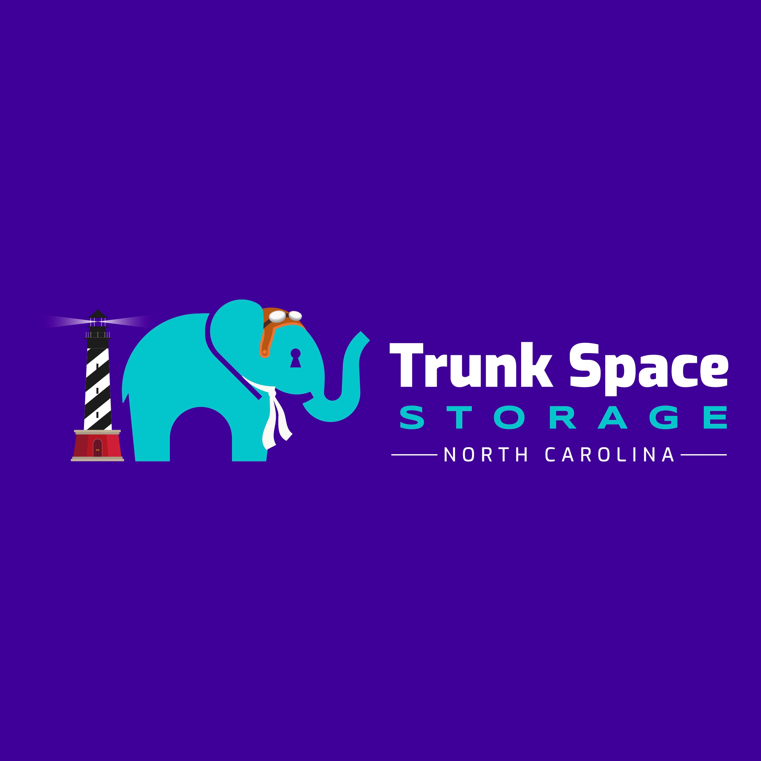 Trunk Space Storage