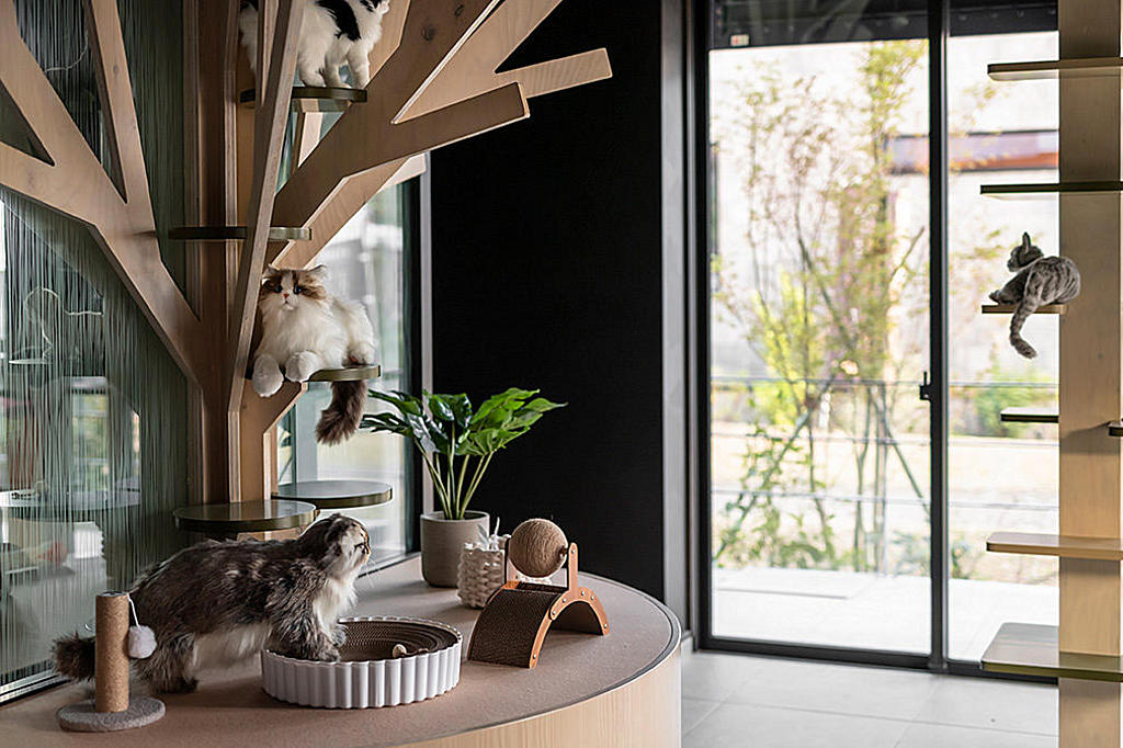 Images ダイワハウス平沼skye展示場