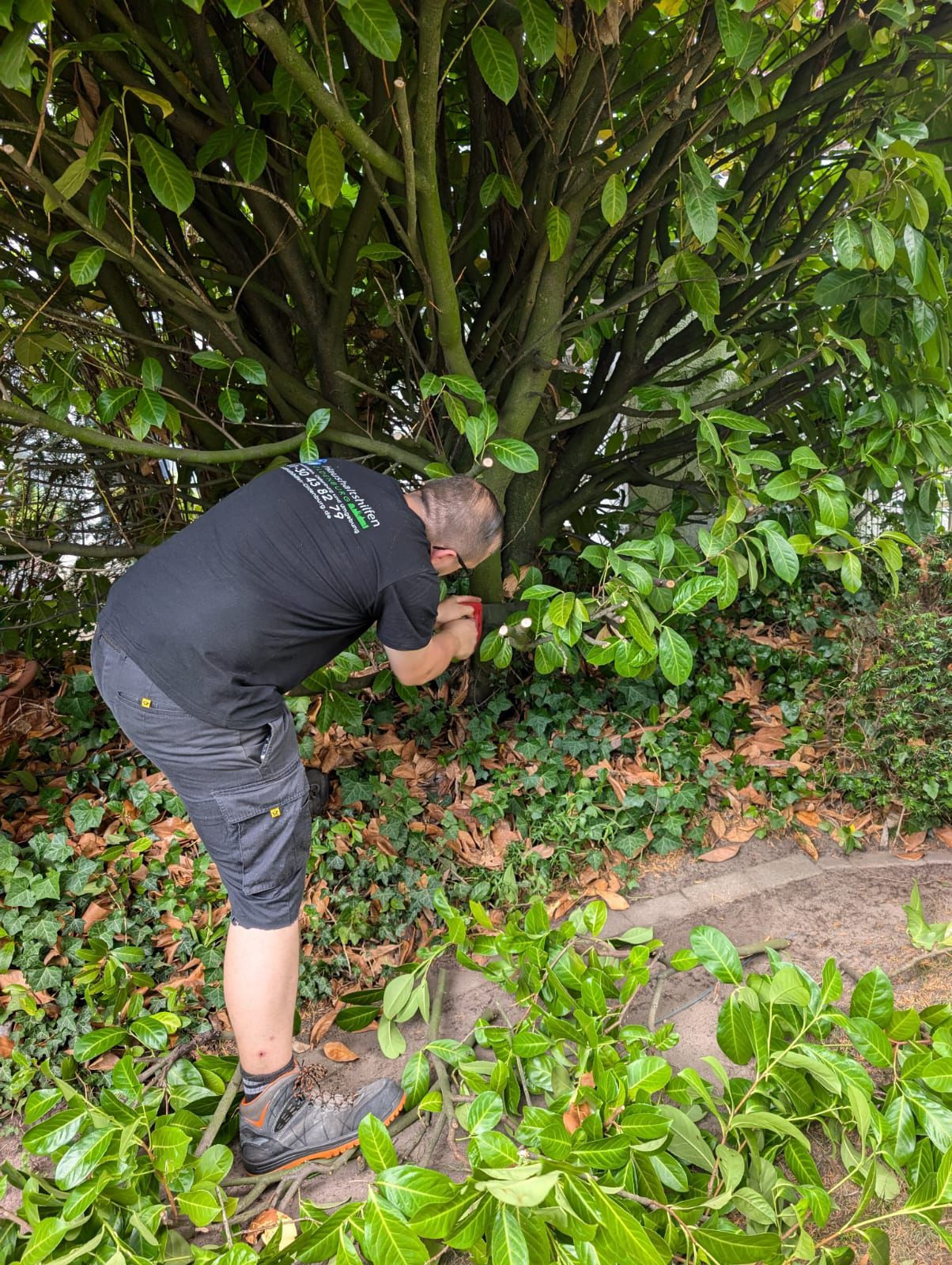 Haushaltshilfe Oldenburg, Feldahornweg 27 in Oldenburg