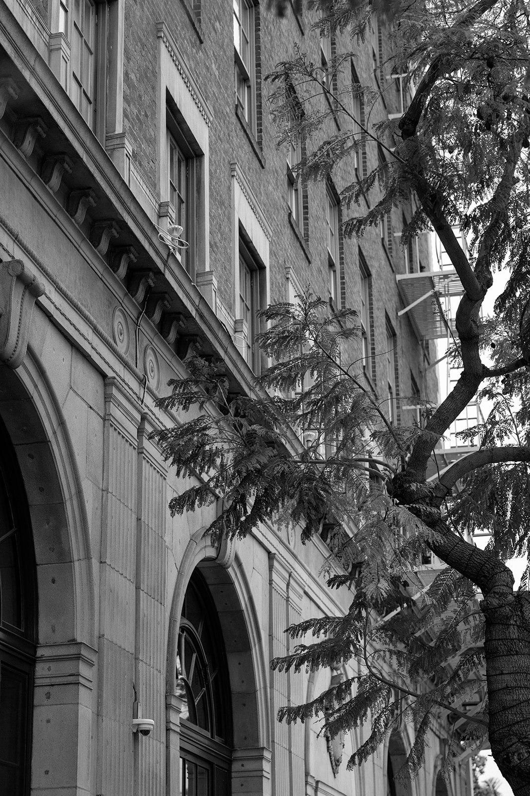 The Culver Hotel